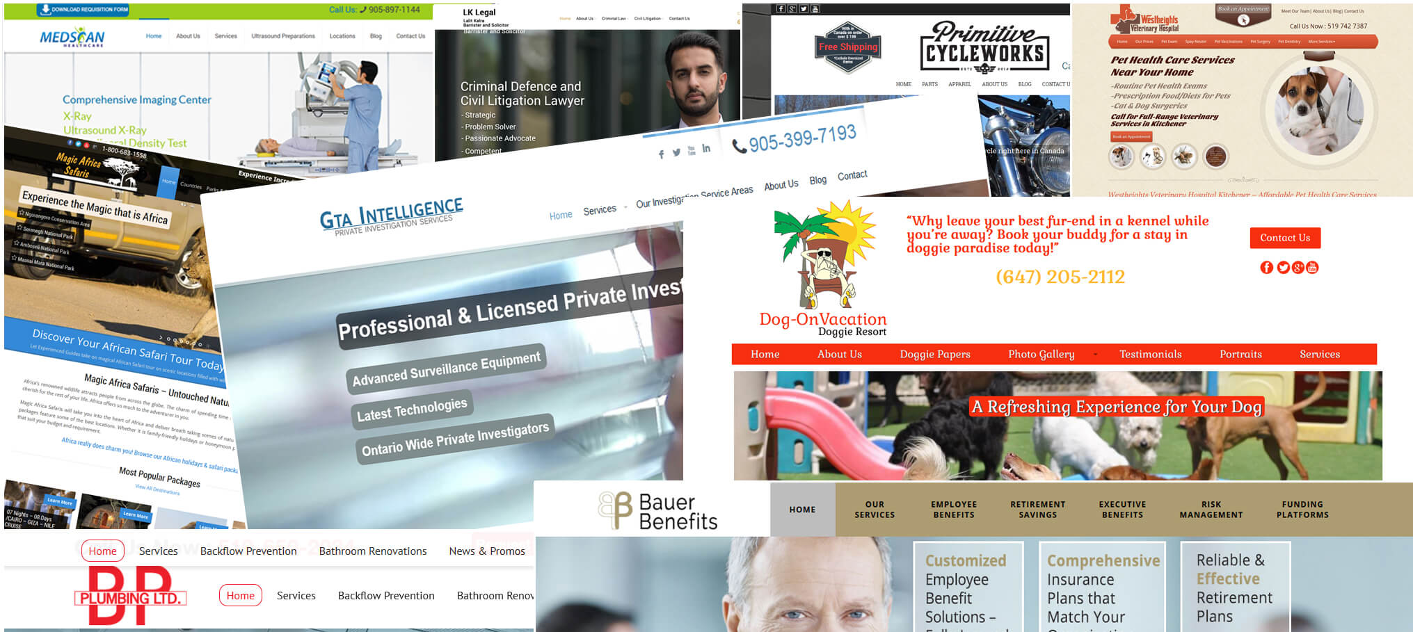 Full Service Website Design And Development White Shark Media