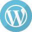 Custom WordPress Solutions