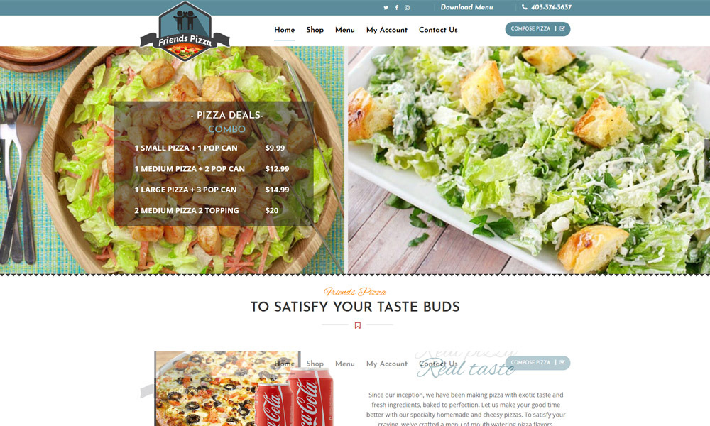 eCommerce Web design Niagara