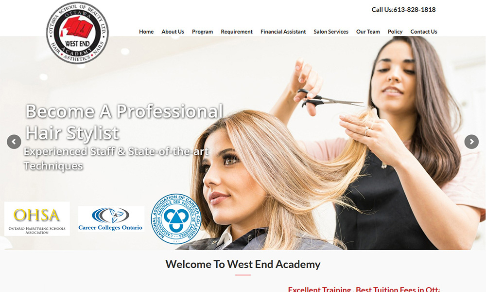 Website design Niagara