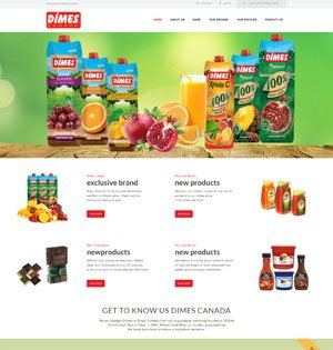 Website Development Company St. Catharines Website Development Company St. Catharines